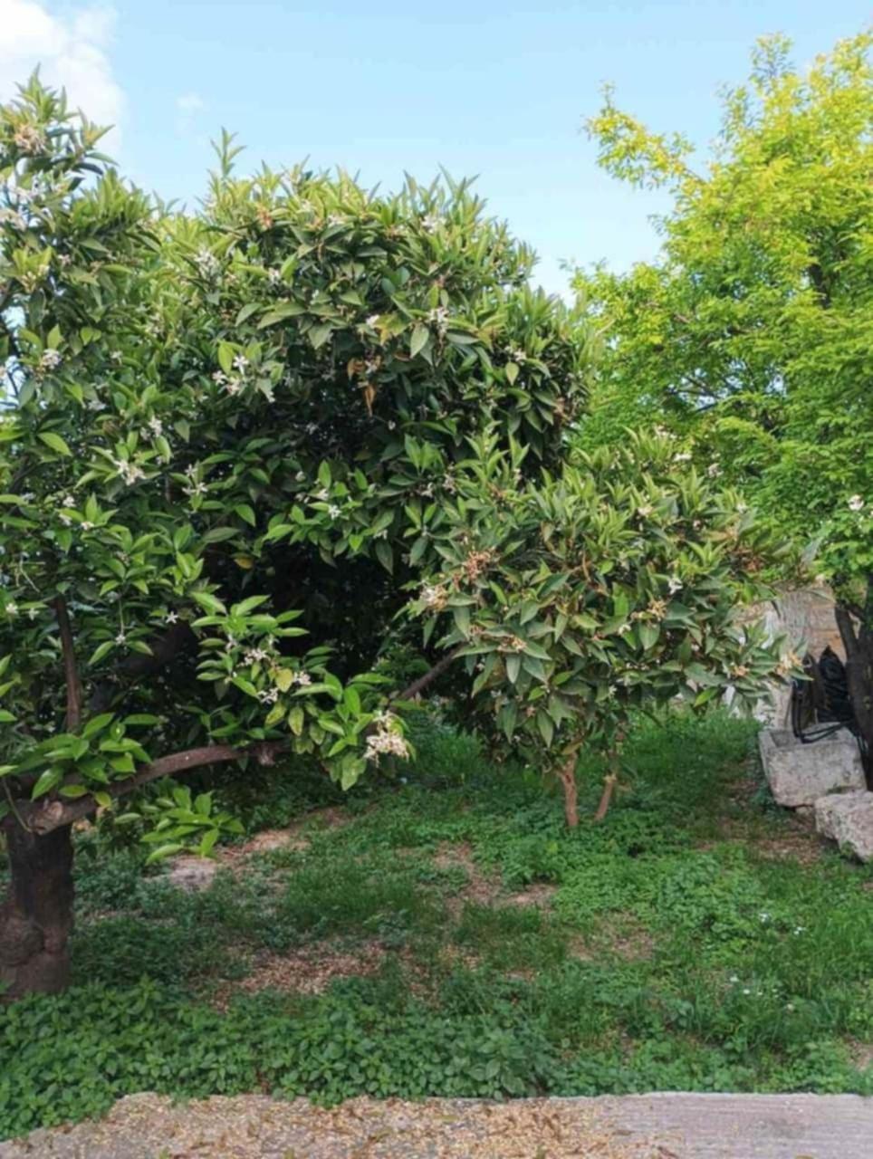 Aνεξάρτητη Παραδοσιακή Πέτρινη Κατοικία Corinth ภายนอก รูปภาพ